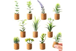 JUSTDOLIFE Aimants de réfrigérateur - Mini aimants pour plantes succulentes - Plantes artificielles - Aimants de réfrigérateur - Plantes succulentes en pot - Autocollants mignons pour réfrigérateur -