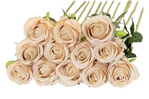 Floralsecret 12 Pcs Artificial Roses Flowers Silk Flower Bouquet Fake Single Stem with Long Stem for Home Wedding Party Garden Decoration (Champagne)