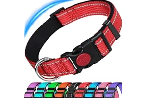 ATETEO Dog Collar, Reflective Adjustable Basic Dog Collar with Soft Neoprene Padding, Durable Nylon Pet Collars for Puppy Small Medium Large Dogs,Red,M: 13-19.7 inch