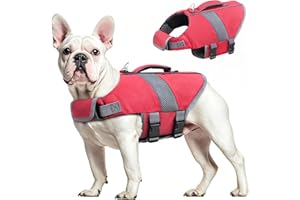 Oslueidy Chaleco Salvavidas para Perros Chaleco Salvavidas para Tiburones de Alta Flotabilidad Chaleco Salvavidas para Perros Chaleco Seguridad Bote Natación Kayak Surf Bañador (Rot, XS)
