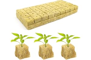 DIYCUT 36 Pezzi Cubi di Coltivazione Soilless, Cubo di Lana di Roccia, 30x30x40 mm Substrato di Coltura, Cubetti di Lana di Roccia Idroponica, per Talee, Giardinaggio Indoor, Coltivazione Ortaggi