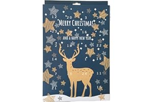 Original Kaiser Inspiration Adventskalender zum selber füllen, Do-it-yourself Kalender, Geschenkidee für Backliebhaber, Muffinform klein mit 24 Ausstecher