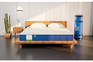 Flo Ortho™ Aloe Vera Infused Orthopedic Mattress with PainRelease™ Technology | Medium Firm Feel | 6 Inch Mattress in King Size (72x72x6 Inches) | 10 Year Warranty