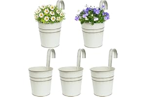 BOFUNX Set of 5 Hanging Flower Pots Metal Vintage Style Balcony Hanging Pots Flower Pots for Hanging with Hooks for Decoration Balcony Outdoor Indoor Wall Garden Wall (Diameter 10/7.5 cm, Height 10.5