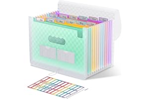 ThinkTex Accordian Organisateur de Fichiers, 12 Pochettes Extensibles, Organiseur Portable de Reçus Mensuels, Onglets Colorés, Format A4 - Vert
