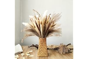 LARBER 50 Pièces Pampa Séchées Naturelle Fleurs Séchées Pampas Sechees Decoration Herbe de la Pampa Roseau Queue de Lapin Bouquet de Fleurs Séchées pour Boho Mariage Chambre Maison Anniversaire Vacances