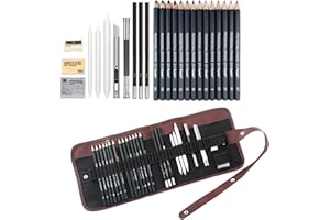 GREHGE Sketching Pencil Set, 24 Pcs Graphite Drawing Pencil for Artists Adults Children Include 12B - 6H, Charcoal Pencils, Canvas Bag and Accessories
