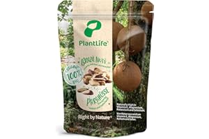 ‎PEARLS OF SAMARKAND TREASURES OF THE SILK ROAD PlantLife BIO Paranusskerne 1kg - Rohe, Unbehandelte und Naturbelassene Paranüsse