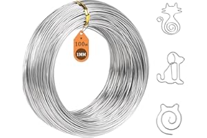 SUPAWAY Draht Edelstahl Ø1,0mm Rostfrei-Federdraht Länge 100m Weicher Stahldraht Silber Basteldraht 304 Edelstahldraht, Bindedraht zum DIY-Basteln,Gartenverkabelung,Schmuckherstellung,Skulpturenrahmen