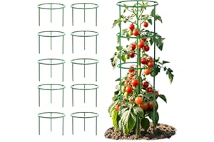 Glvomazty 20 Supports de Tuteur Tomate Cerise, Tuteur pour Plante Amovible, Support pour Plantes Grimpantes, Anneau de Support de Plante Pieux à Hortensias,Pivoines,Plantes, D x H : 20 x 16 cm 120pcs