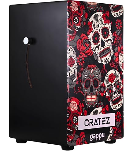 LP LPA1332-DWS Aspire Series Wood Accent Cajon, 12