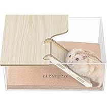 Plateforme En Bois Pour Hamster Et Escalier - Plateforme Avec échelle Pour Petits Animaux De Compagnie - Hamsters Et Cochons D'Inde