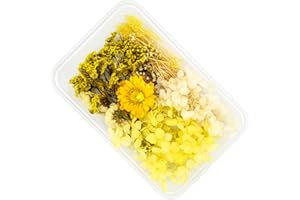Bailinks Real Dried Flowers,Natural Pressed Flowers Mixed Everlasting Flowers Bouquets,Small Colorful Dry Flowers Plants for Resin Crafts Scrapbooking Art Frame DIY Gift Card（Yellow