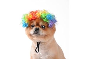 TESSVEYA Funny Hund Perücke, Katze Rollenspiel Perücke, Halloween, Weihnachten, Partys, Fest für Haustiere Perücke, kleine, mittlere und große Hunde Perücke (Farbige Clowns)