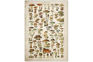 BYFRI Cartel Vintage con Estampado Floral Antiguo Arte botánico Cartel Educativo Seta Arte de Pared decoración del hogar