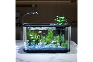 WIROOUIA Aquarium Starter Kits, 11L Small Fish Tank with Filter and LED Light, Silent & Self Cleaning Nano Aquarium, Decoration Tropical Fish Tank Kit for Betta Shrimp Goldfis-h