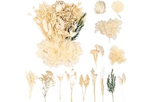 LAUMOE Trockenblumen, Getrocknete Blumen, Trockenblumen zum Basteln, Trockenblumen Weiß Trockenblumen Deko Mehrblütige Version für Kunst Basteln Dekoration (Weiß 3)