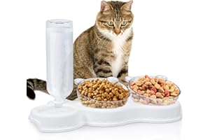 ALLILUYAA Cuenco del Gato Doble Tazón,3 en 1 Cuenco Doble para Mascotas,15°Inclinación Tazón de Alimentación para Gatos,con Bebedero Automático,Se Puede Utilizar para Gatos y Cachorros