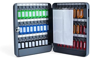 Pora Schlüsselkasten Verschiedene Größen von 20 bis 300 Schlüsselhaken (54 Haken, grau)