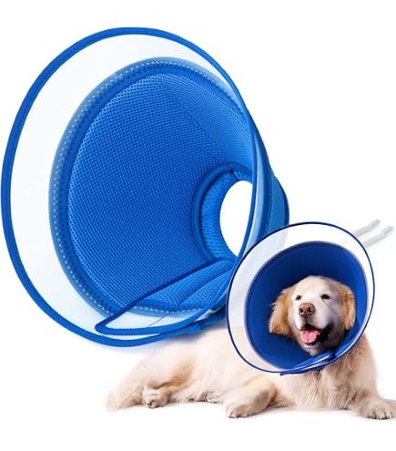 Weicher Hundekegel (Halskragen) – Verstellbar, Mit Klarem PVC-Rand, Für Hunde Aller Größen Nach OP Oder Verletzung