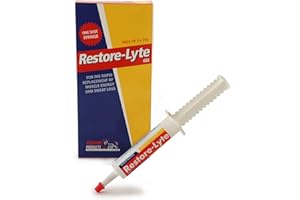 Other EQUINE PRODUCTS RESTORE-LYTE GEL 3 x 35g syringe, Clear