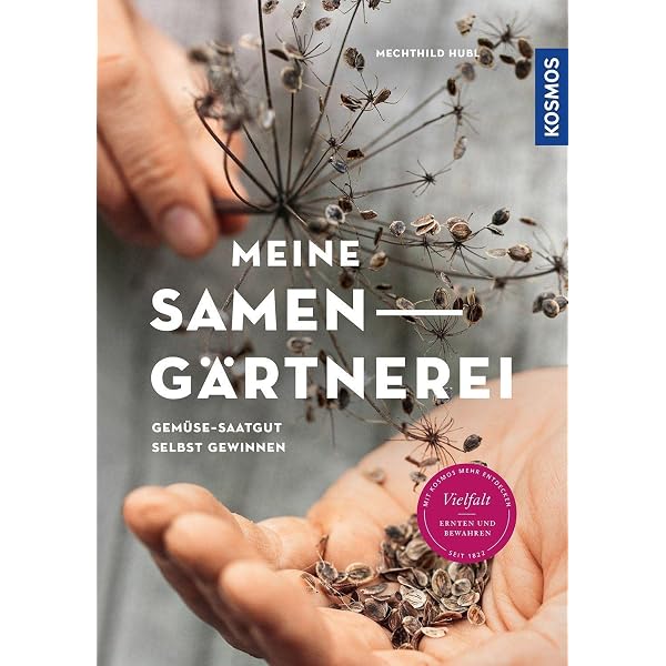 knstliche sukkulenten wie echt T4U Kunstpflanze mit Topf Knstliche Sukkulenten Grn 2er-Set