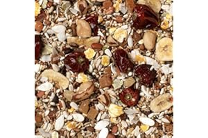 Johnston & Jeff Low Sunflower Diet for African Greys Parrot Food, 12.75 kg