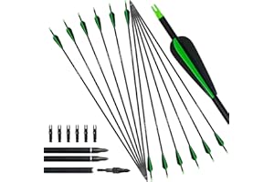 D&Q 12PCS 31inch Flèches de tir à l’Arc Fibreglass Shaft Spine 550 Flèches de ciblage de Chasse pour recurve Bow Compound Bow with Replacement Screw-in Field Points Broadheads