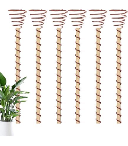 Elektrokultur-Pflanzstäbe Aus Kupfer (12 Stück, 29,2 Cm) – Garten-Antennen Für Verbessertes Pflanzenwachstum