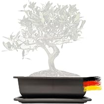 GENKI BONSAI Erde 2L Hausmischung - Premium Substrat fr Zimmerbonsai wie  Ficus & Ulme - ideal fr Balkon, Fensterbank & Wohnzimmer - luftige Bonsai- Erde gegen Staunsse & Wurzelfule : Amazon.de: Garten