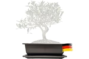 ‎GENKI-BONSAI Genki-Bonsai Pflanzschale 22 x15,5 x 7,5 cm aus Kunststoff – rechteckiger Pflanzkübel mit Untersetzer, frostbeständig, mit Drainagelöchern – für Bonsai, Kräuter, Zimmer- & Balkonpflanzen
