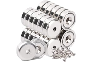 Aenienoe 26Pezzi Calamite Potenti Con Foro Magneti Neodimio 7kg Forza 16mm Calamite Potente,Magneti Multiuso Per Cucina,Magazzino,Garage Con Viti Di Montaggio