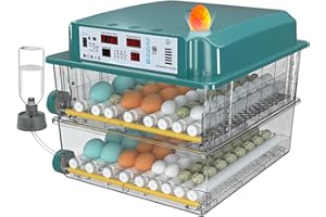 CoInceptus Incubadora Huevos Gallina, Incubadora de 120 Huevos con Volteo Automático de Huevos y Humidificación automática, Incubadora para Huevos de Gallina, Codorniz, Pato, con Lámpara de Huevo