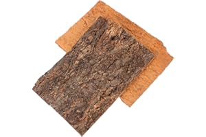 Housoutil Corteza de corcho de fondo 2 piezas de corteza de reptil terrario de corcho para lagartos, serpientes, arañas, cangrejos ermitaños, tarántulas, geckos, barbudos