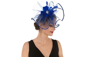 HAOJING Fascinator Hat Feather Mesh Net Veil Party Hat Ascot Hats Flower Derby Hat with Clip and Hairband for Women…