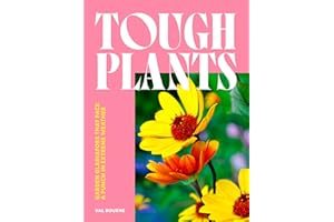 Tough Plants: Garden gladiators that pack a punch in extreme weather