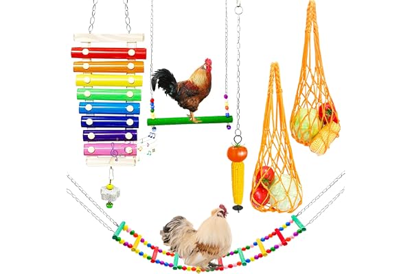 Lot de 6 jouets pour poulailler, Xylophone de poulet avec pierre à meuler, balançoire flexible, sac à légumes, brochettes de légumes, mangeoire pour perroquet et oiseau