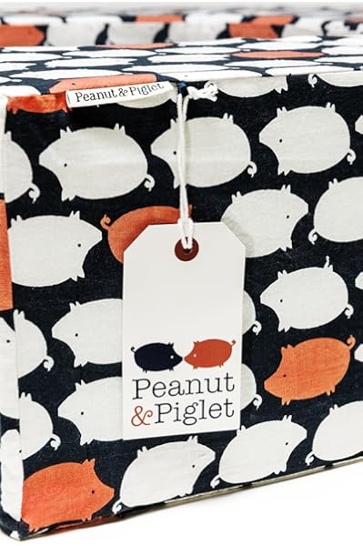 peanut and piglet twin feeding pillow