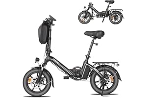 Bodywel T16PRO Bicicleta Eléctrica Plegable, 14" Mini E-Bike, 4.5 Pulgadas Pantalla LED, Batería 36V/7.8Ah, Frenos de Doble Disco y Suspensión Delantera