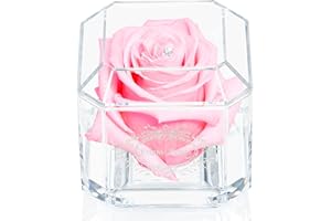 A 100% Real Rose That Lasts Years - Eternal Petals, Handmade in UK – White Gold Solo with A Multicolor Crystal (Light Pink)