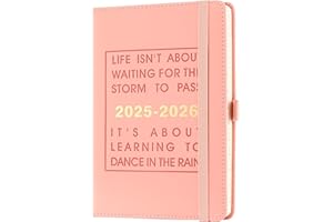 MLJTOYO agenda accademica 2025-2026, giorno per pagina, copertina rigida organizzata da luglio 2025 a giugno 2026, Agenda A5, giornaliera e mensile con registri mensili