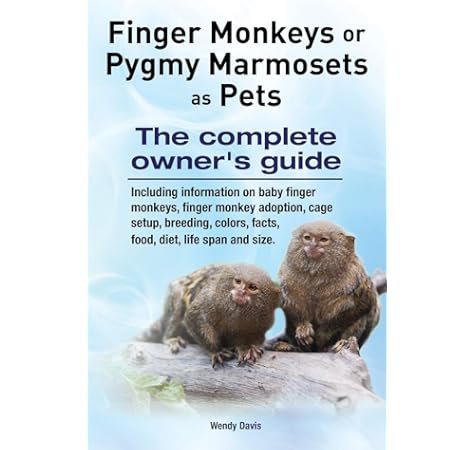 finger monkeys for adoption