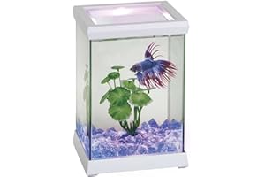 Ocean Free AT619B Kit Betta Space Led, Blanco, 4,95 litros