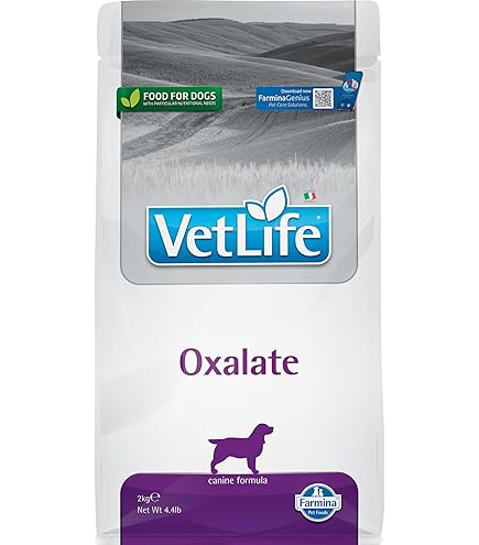 Cibo Umido Per Cani Renal - Dieta Supporto Renale, 6 Lattine Da 400g, Con Salmone
