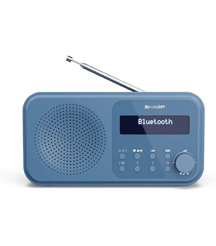 RADIO SONY SRF-M98 DIGITAL FM/AM : Amazon.fr: High-Tech