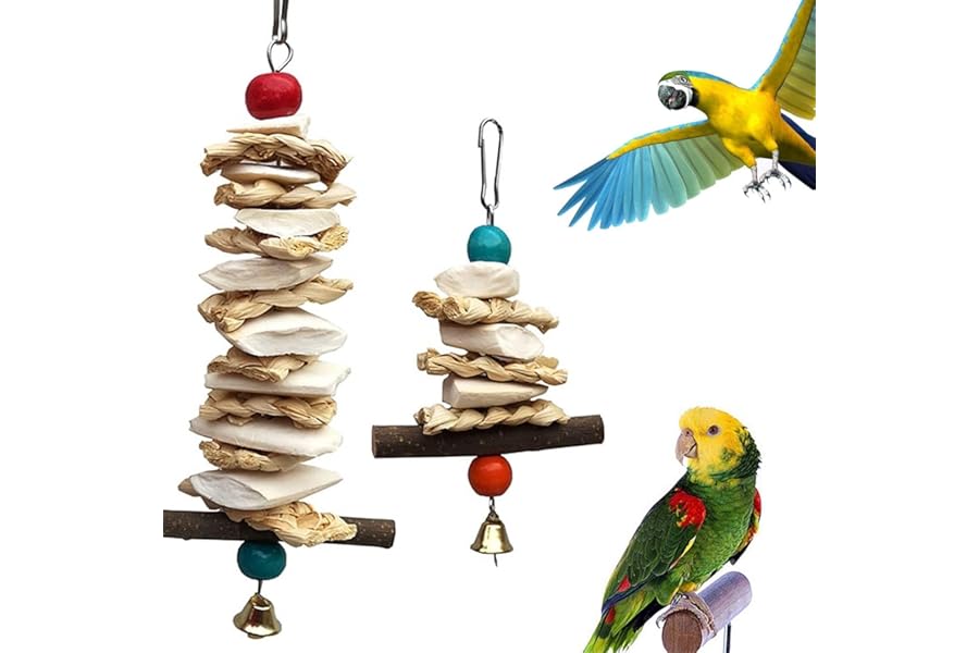 Newsmy 2 Pack Parrot Chewing Toys with Natural Cuttlefish Bone and Apple Stick, Hanging Bird Toys for Budgie Cockatiel and Parakeet, Calcium and Beak Care Toy