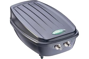 Blagdon Pond Water Oxygenator Kit, 2 Outlet Aeration Air Pump for Standard Ponds up to 2000 litres, Green