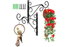 TAASMOOG 2 ganci da parete in ferro per piante, staffe per appendere cesti, staffe da appendere alla parete, ganci per appendere mangiatoie per uccelli, lanterne, campanelli a vento, fioriere, staffa in ferro