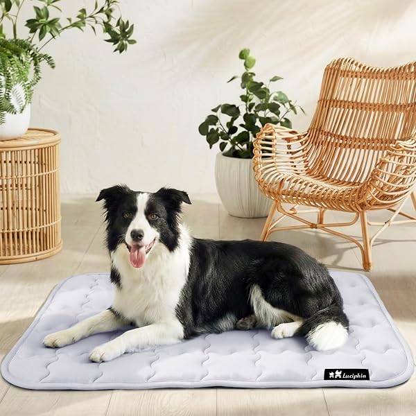 luciphia Alfombra refrescante para perros y gatos,Alfombrilla para perros,cojín refrescante para el verano,cama lavable para perros,manta refrescante perros grandes,medianos y pequeños Gris 77*102cm - 1