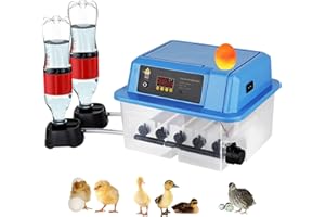 Safego brutmaschine vollautomatisch hühner Eier Brutgerät 12 Eier, Inkubator Hühnerbrutkasten, Automatischer Eierumschlag, Temperaturregelung, Wasserauffüllung, für Hühnergans Ente Taube Wachtel Vogel